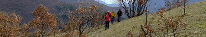 I Vagamonti - AVIS Chiaravalle